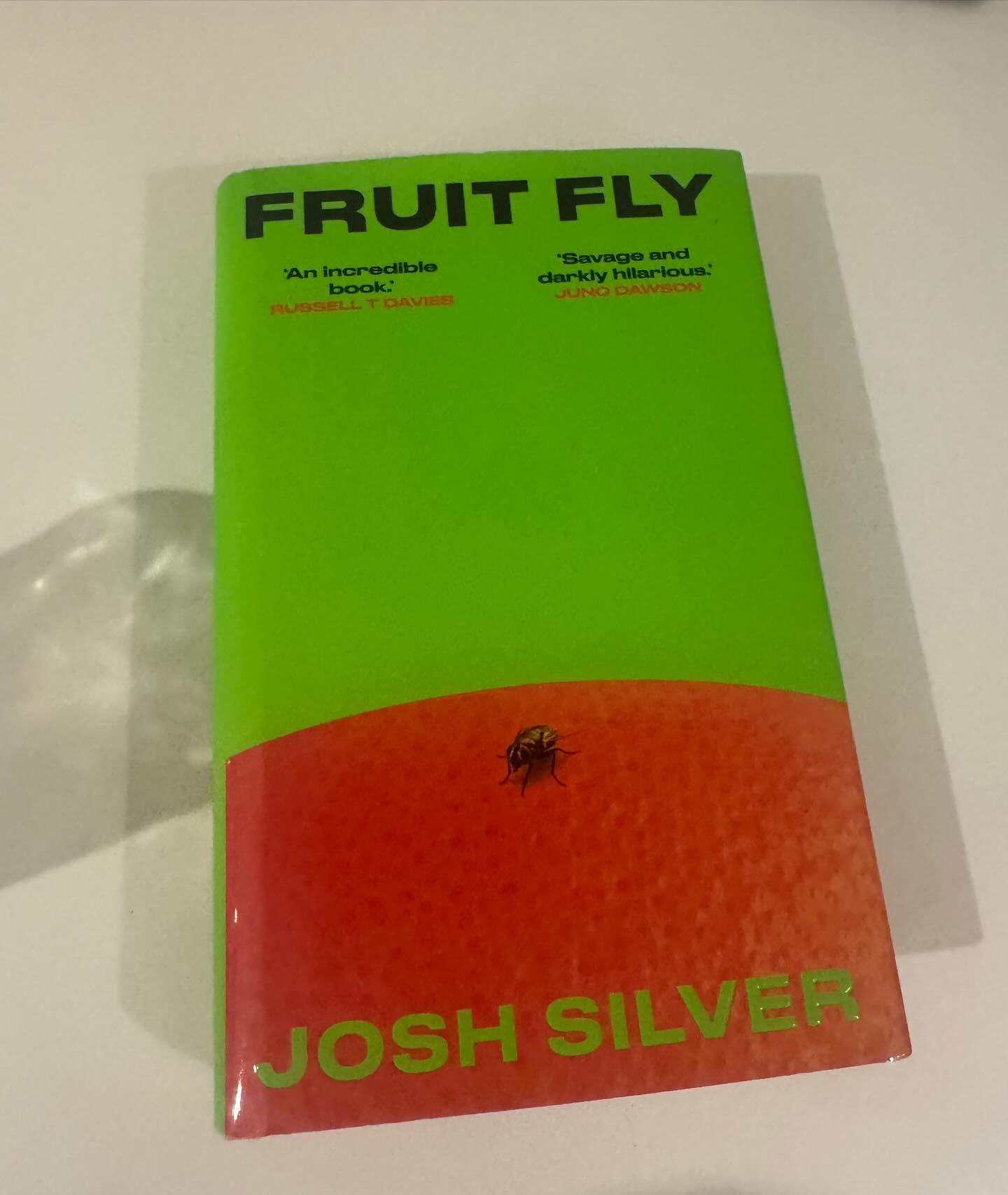 Having a right fun time with this deliciously unhinged thing. Lemon sharp. Twists to put your back out. Takes unreliable narration up a notch. And with some pretty deep questions about authenticity and who has the right to tell whose story. Really fun. And so messy that you will never feel messy again. But there is a sweetness in there too at times which was a surprise. Five stars.